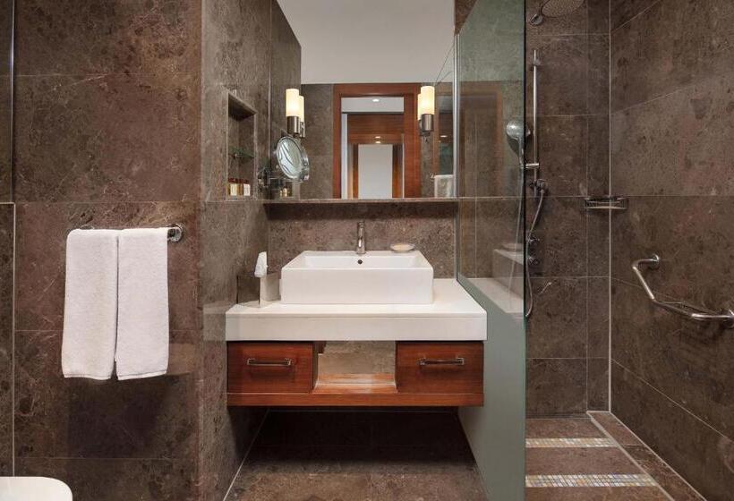 اتاق لوکس با تخت بزرگ, Sheraton Istanbul Ataköy