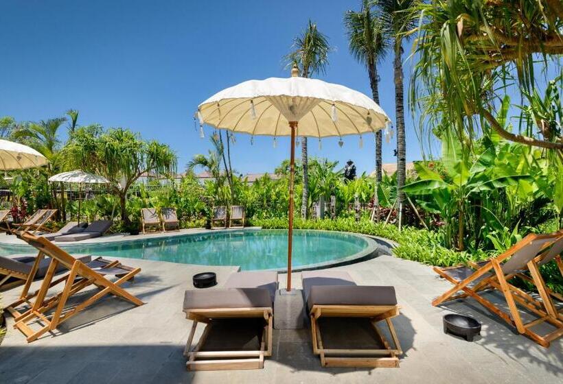 آپارتمان 1 خوابه, Thesoulhousebali