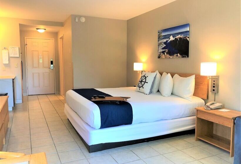 Quarto Estandar Cama King, Atlantic Eyrie Lodge