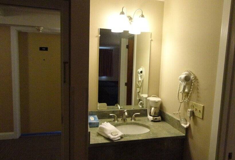 اتاق لوکس, Bangor Inn & Suites