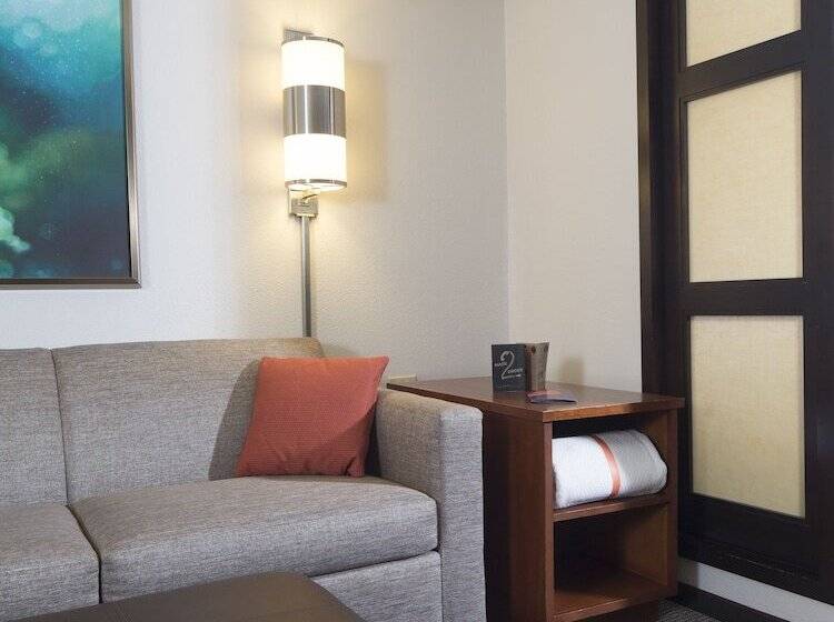 Номер Стандарт 2 Двуспальные Кровати, Hyatt Place Dallas/plano
