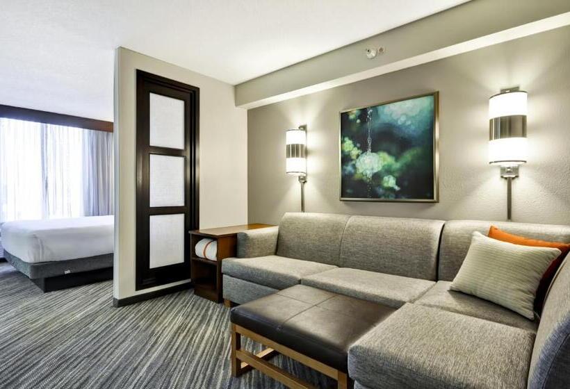 キングサイズベッドのスタンダードルーム, Hyatt Place Minneapolis Airport South
