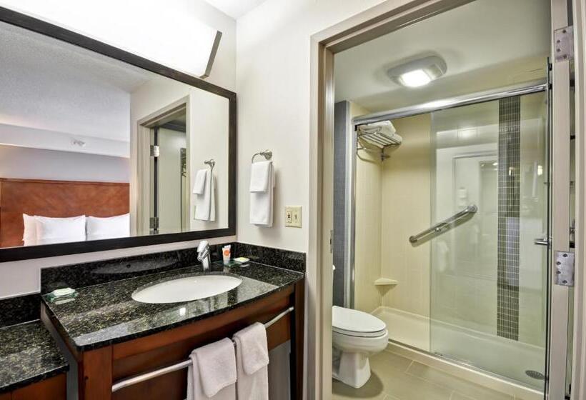 身障者適用キングサイズベッドルーム, Hyatt Place Minneapolis Airport South
