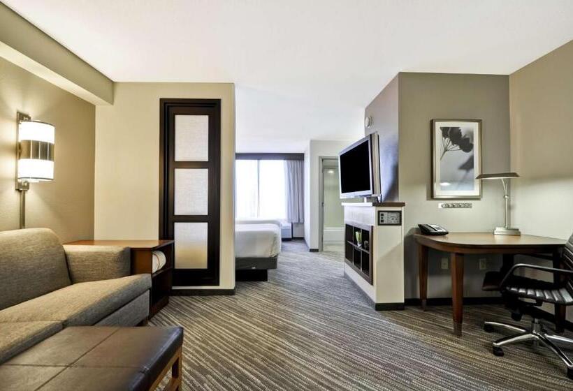 身障者適用キングサイズベッドルーム, Hyatt Place Minneapolis Airport South