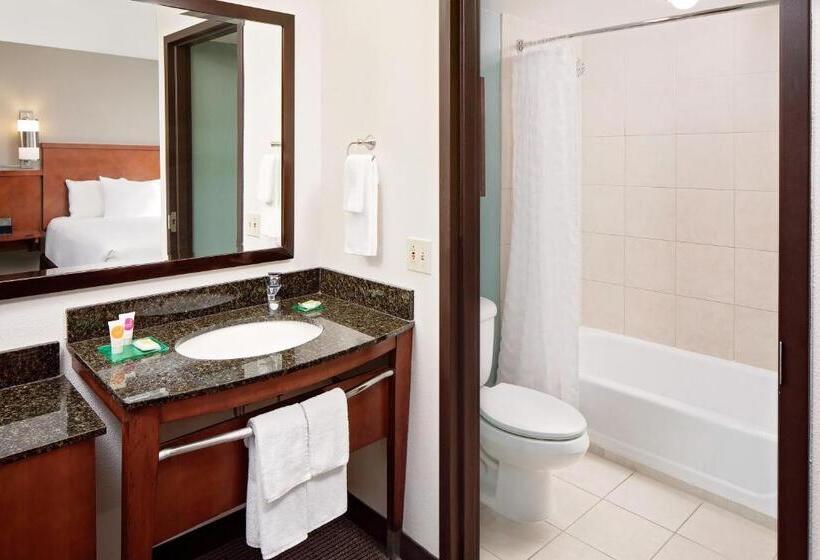 适合残疾人士使用的带超级大床的标准间, Hyatt Place Ontario/rancho Cucamonga
