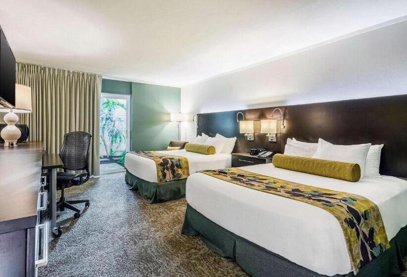 Номер Стандарт, Oasis Hotel & Conv. Center, Ascend Hotel Collection
