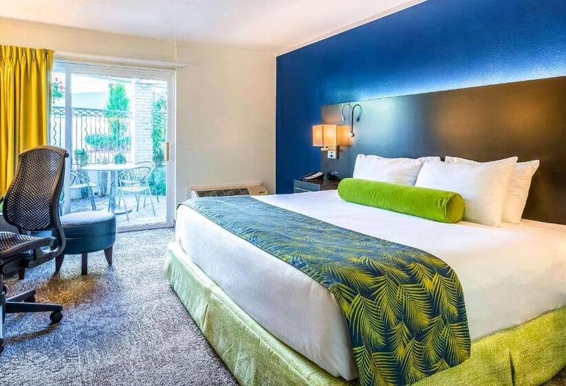 Стандартный Номер Кровать Кинг, Oasis Hotel & Conv. Center, Ascend Hotel Collection