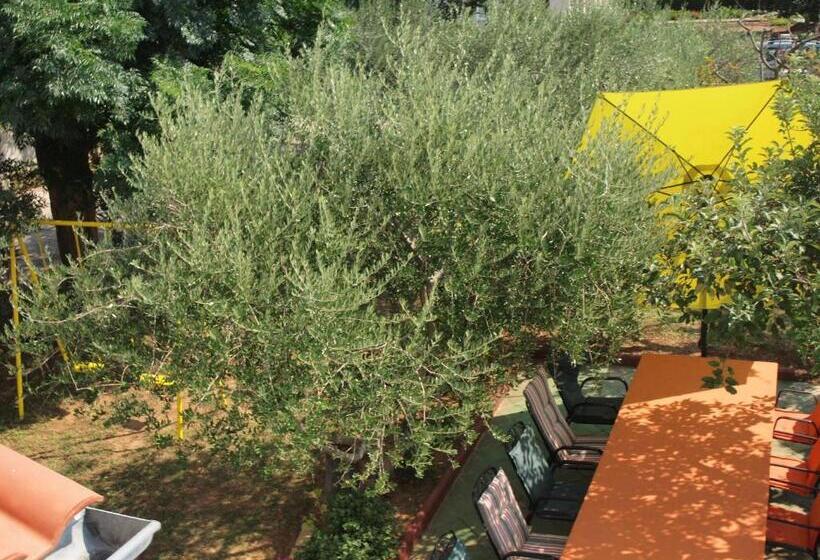 آپارتمان 1 خوابه, Ana Guest House