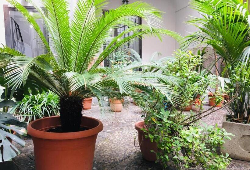 اتاق استاندارد با تخت بزرگ, B&b Fiumara