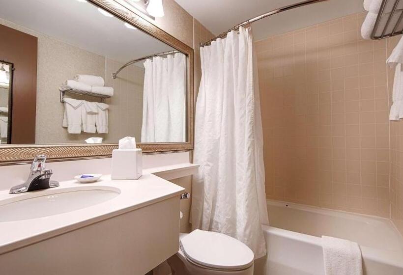 스탠다드 발코니 룸, Best Western Plus Chelmsford Inn