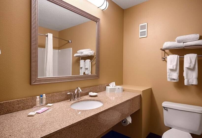 Номер Стандарт 2 Двуспальные Кровати, Best Western Plus Executive Inn