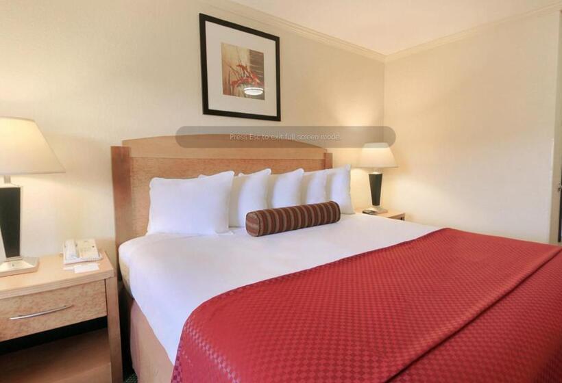 스탠다드 룸 킹사이즈 침대, Best Western Plus Ontario Airport & Convention Center