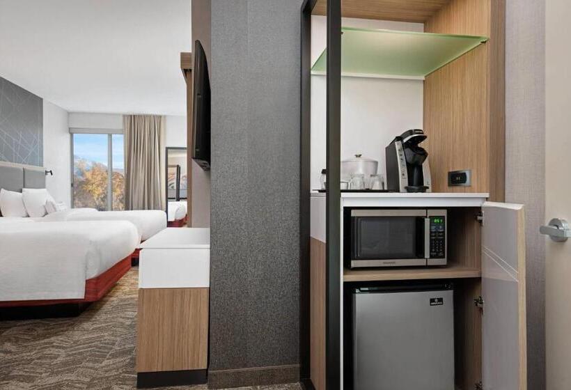 キングサイドベッドのスタンダードワンルーム, Springhill Suites By Marriott St. George Washington