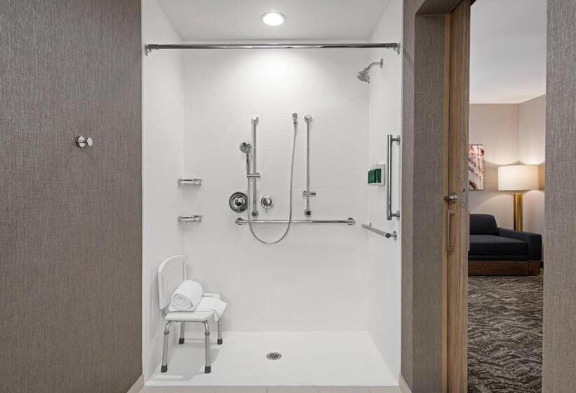 キングサイドベッドのスタンダードワンルーム, Springhill Suites By Marriott St. George Washington