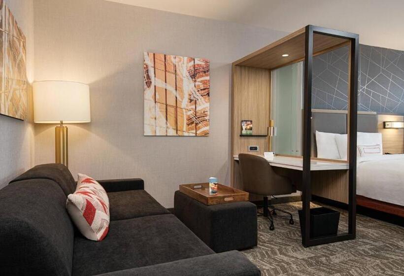 スタンダードスタジオ, Springhill Suites By Marriott St. George Washington