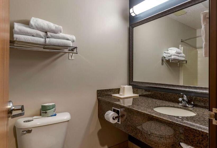 Номер Стандарт Кровать Кинг Адаптированный для Инвалидов, Best Western Newberg Inn