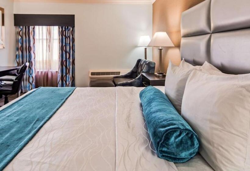 Стандартный Номер Кровать Кинг, Best Western Webster/nasa