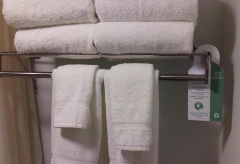 Люкс Кровать Кинг, Best Western Webster/nasa