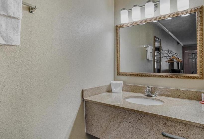 اتاق استاندارد, Oyo Hotel Pineville La Hwy 165