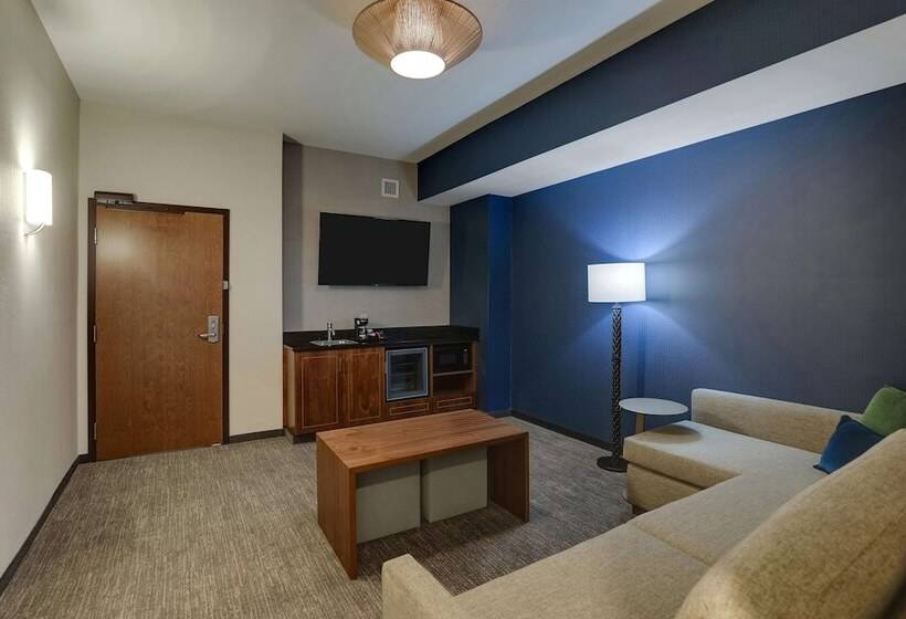 سوئیت برای معلولان, Drury Plaza Hotel Orlando   Disney Springs Area