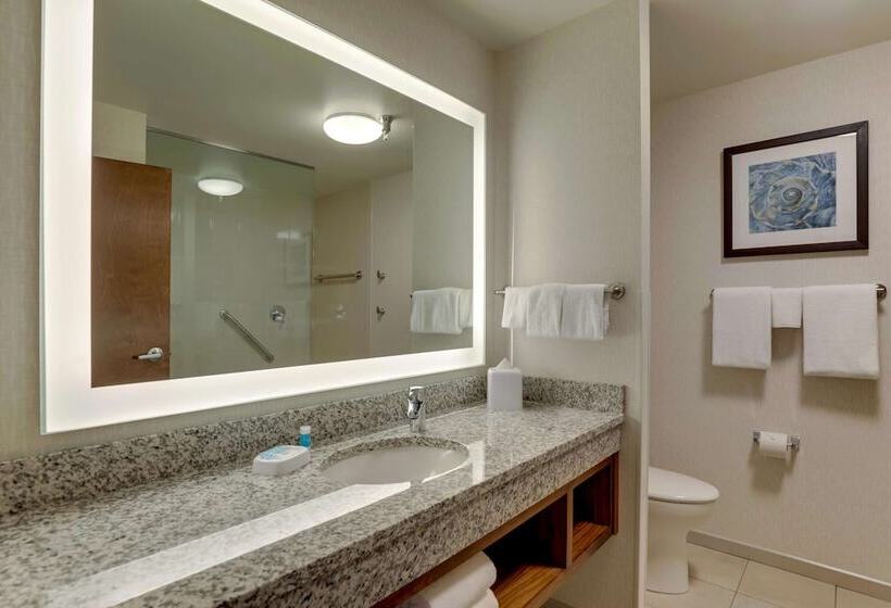 اتاق دلوکس مخصوص معلولین, Drury Plaza Hotel Orlando   Disney Springs Area