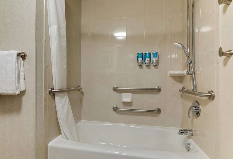 اتاق دلوکس مخصوص معلولین, Drury Plaza Hotel Orlando   Disney Springs Area