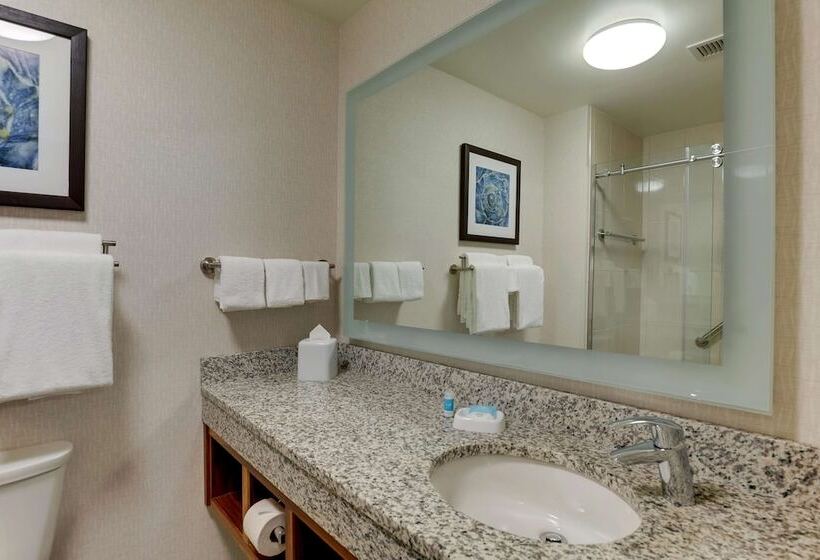 سوئیت برای معلولان, Drury Plaza Hotel Orlando   Disney Springs Area