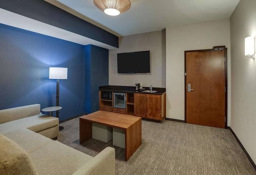 سوئیت برای معلولان, Drury Plaza Hotel Orlando   Disney Springs Area