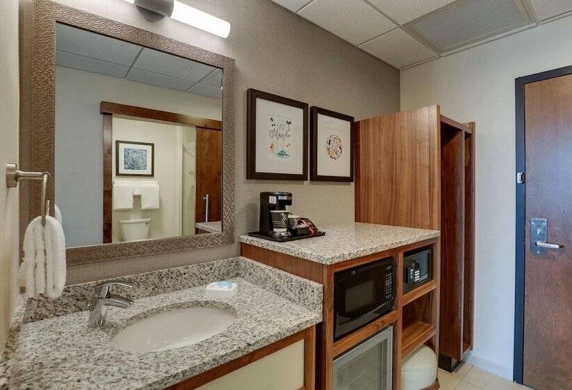 اتاق دلوکس مخصوص معلولین, Drury Plaza Hotel Orlando   Disney Springs Area
