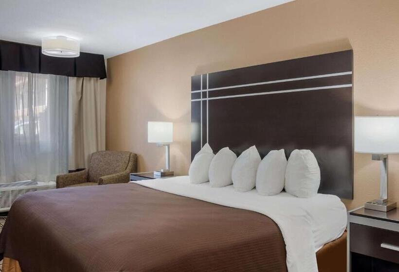 חדר סטנדרט עם מיטת קינג, Best Western Nursanickel