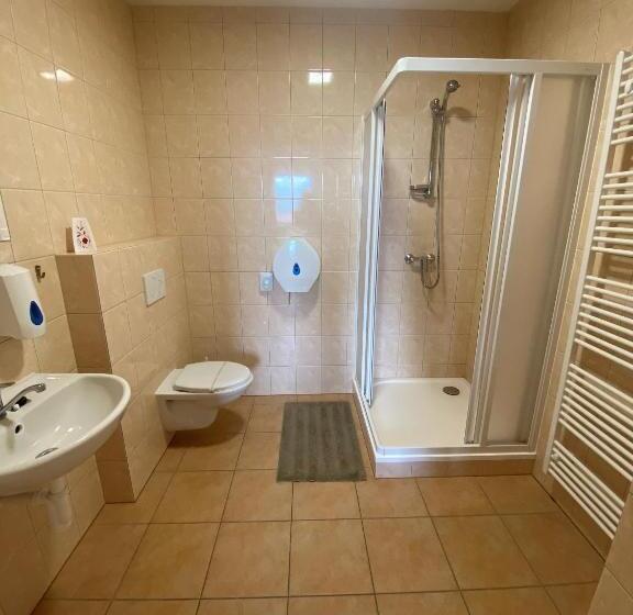 Номер Стандарт Трехместный, Hostel Hodonín
