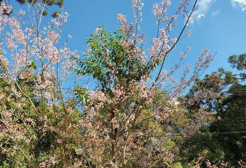 스탠다드 룸, Pousada Toque De Minas
