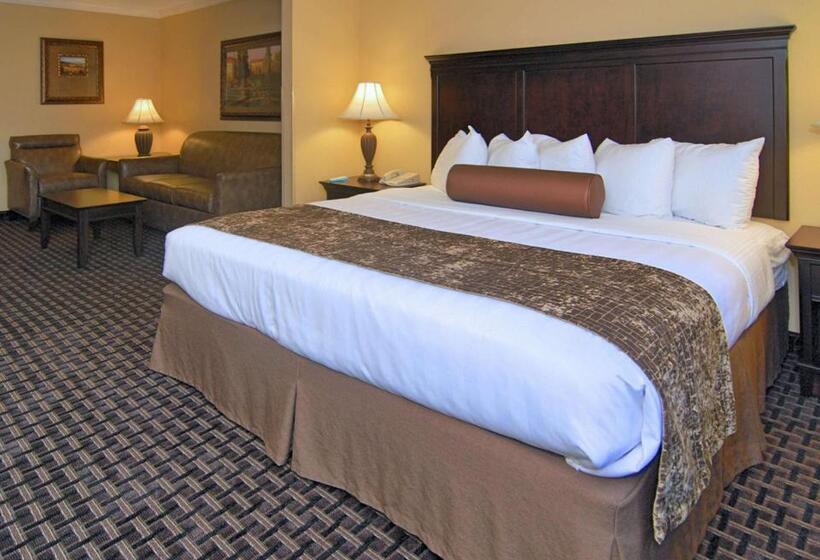 Стандартный Номер Кровать Кинг, Best Western Plus Southpark Inn & Suites