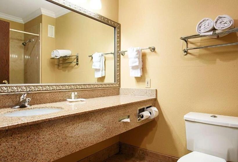 スタンダードルーム, Best Western Plus Southpark Inn & Suites