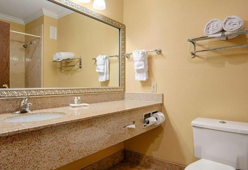 身障者適用キングサイズベッドルーム, Best Western Plus Southpark Inn & Suites