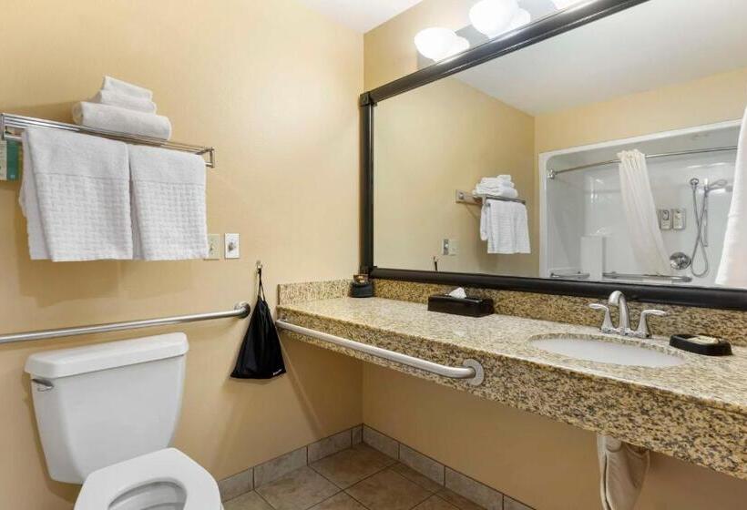 Номер Стандарт Кровать Кинг Адаптированный для Инвалидов, Best Western Plus The Inn At Horse Heaven
