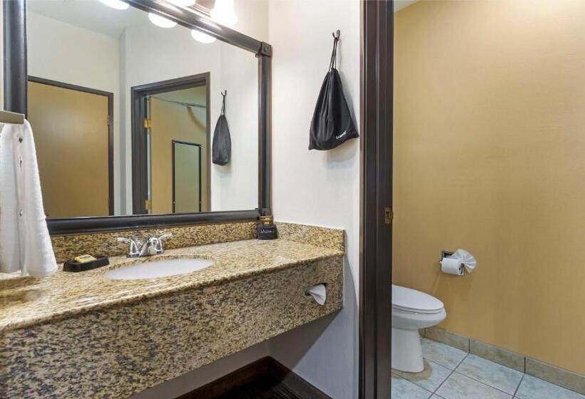Номер Стандарт, Best Western Plus The Inn At Horse Heaven