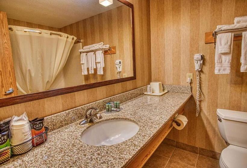 스탠다드 룸, Best Western Rory & Ryan Inns