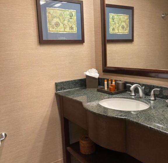 스탠다드 룸 킹사이즈 침대, Blue Dolphin Inn