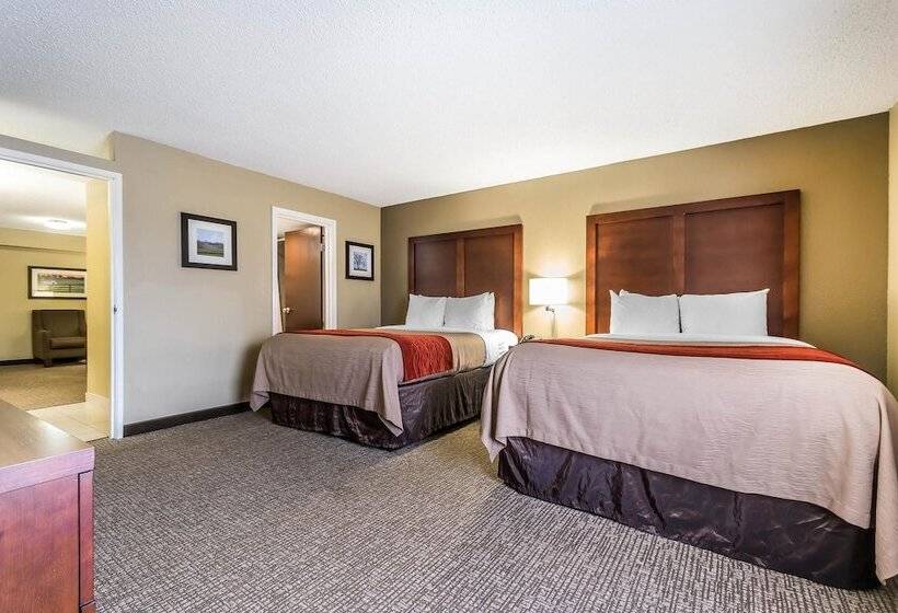 سوییت, Comfort Inn & Suites