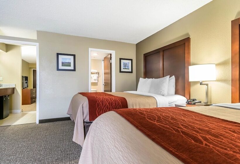 سوییت, Comfort Inn & Suites