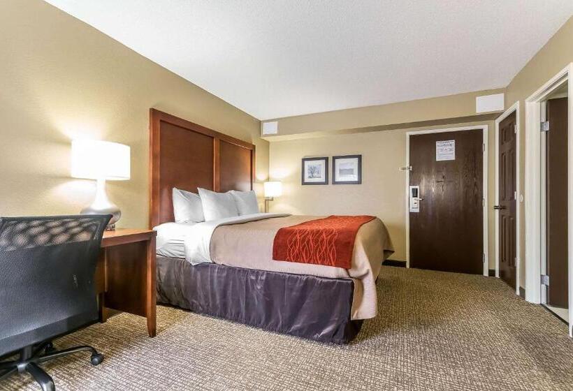 اتاق استاندارد با تخت بزرگ, Comfort Inn & Suites