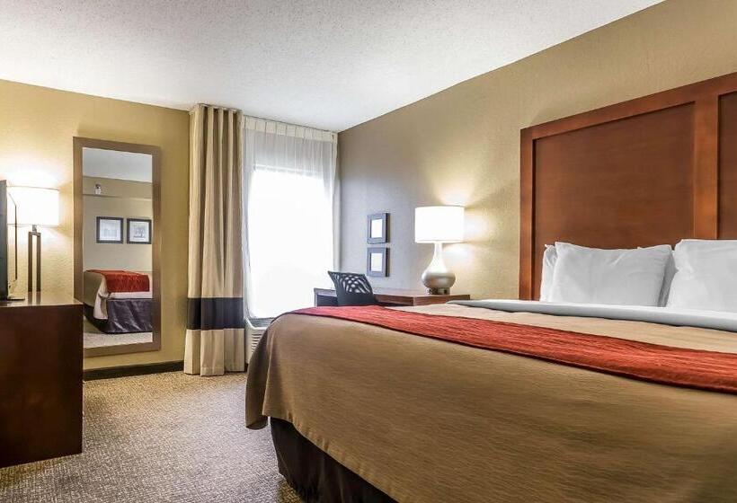 اتاق استاندارد با تخت بزرگ, Comfort Inn & Suites