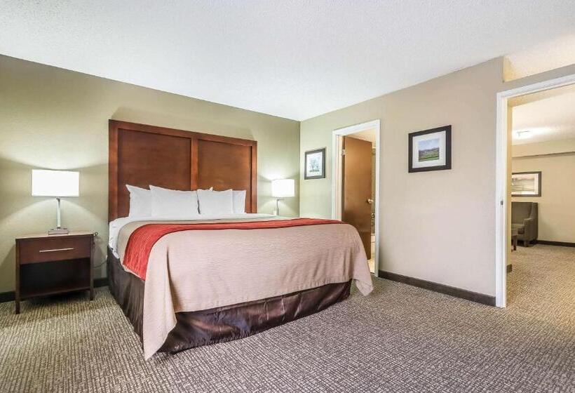 سوئیت با تخت بزرگ, Comfort Inn & Suites