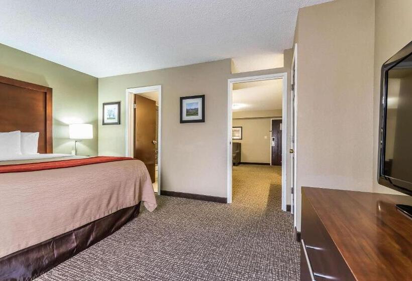 سوئیت با تخت بزرگ, Comfort Inn & Suites