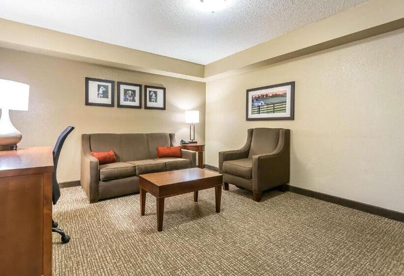 سوئیت با تخت بزرگ, Comfort Inn & Suites