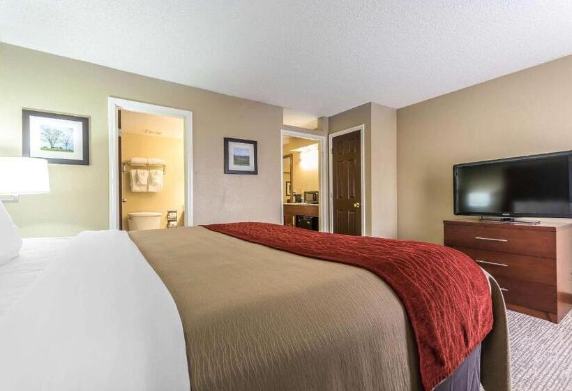 سوئیت با تخت بزرگ, Comfort Inn & Suites