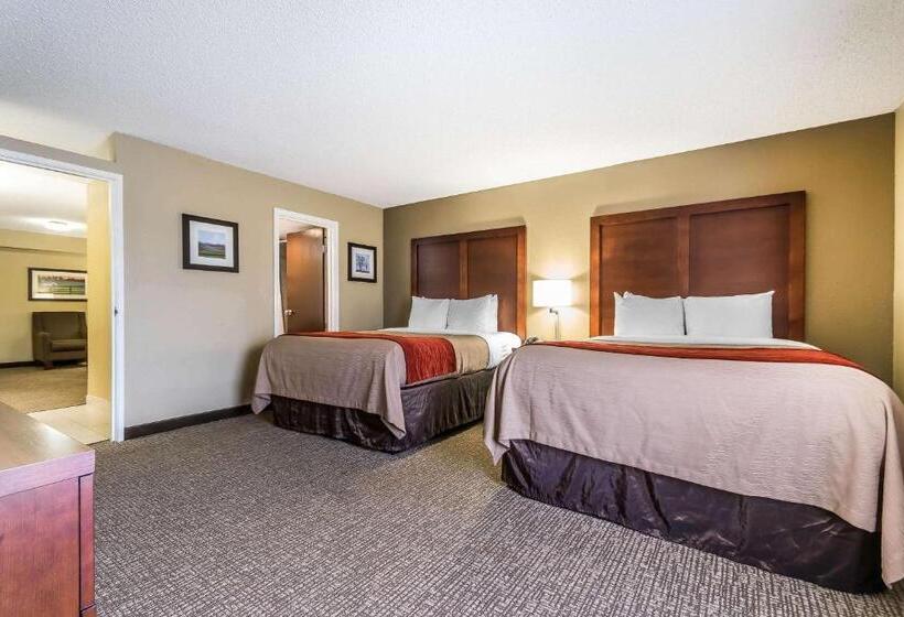 سوییت, Comfort Inn & Suites