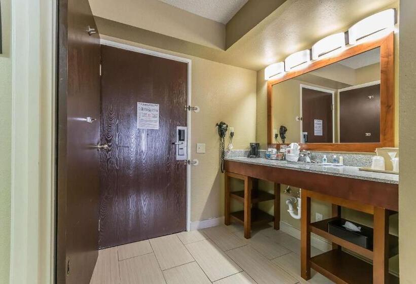 اتاق استاندارد برای معلولان, Comfort Inn & Suites