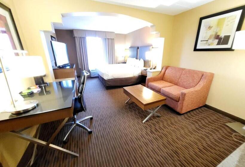 سوئیت با تخت بزرگ, Wingate By Wyndham Greensboro Coliseum